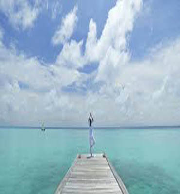 Awesome Video Gallery